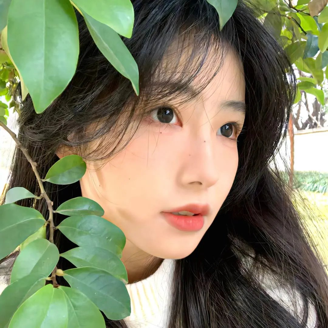 出发吧去露营