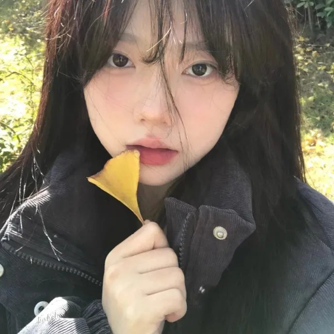 从你的全世界路过